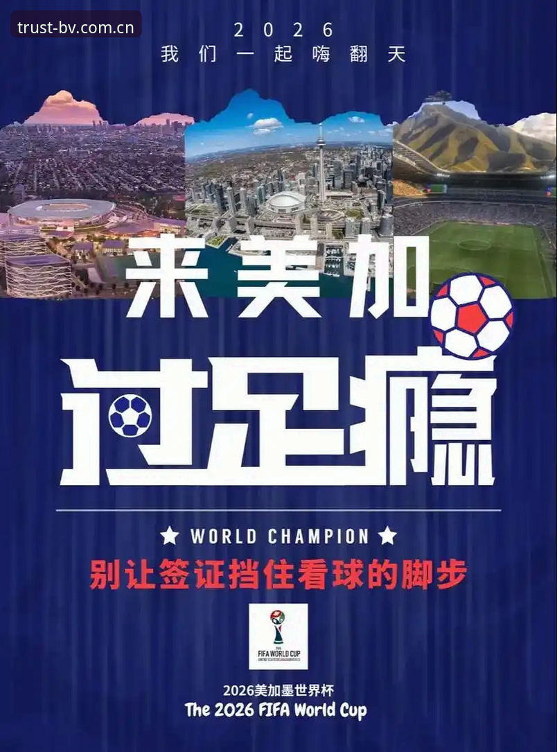 资深用户分享：世界杯观赛签证危机下的实战应对经验