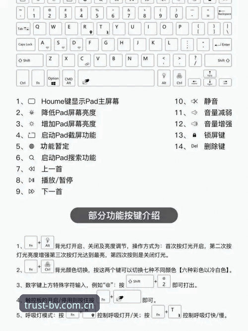 伟德体育官网登录完整指南：老用户分享的使用心得与操作技巧