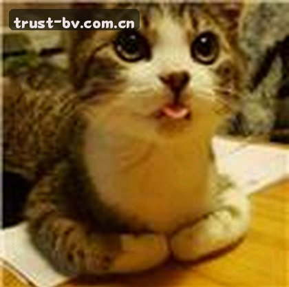 王磊